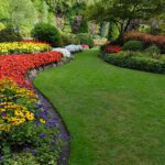 What to Look Out For in Garden Care in the Summer?