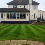 Spring Care for the Grass Carpet