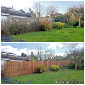 Fencing & Decking