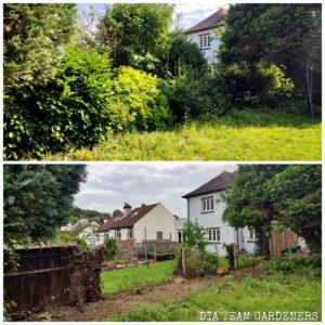 Garden Clearance