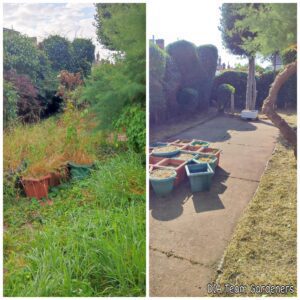 Garden Clearance