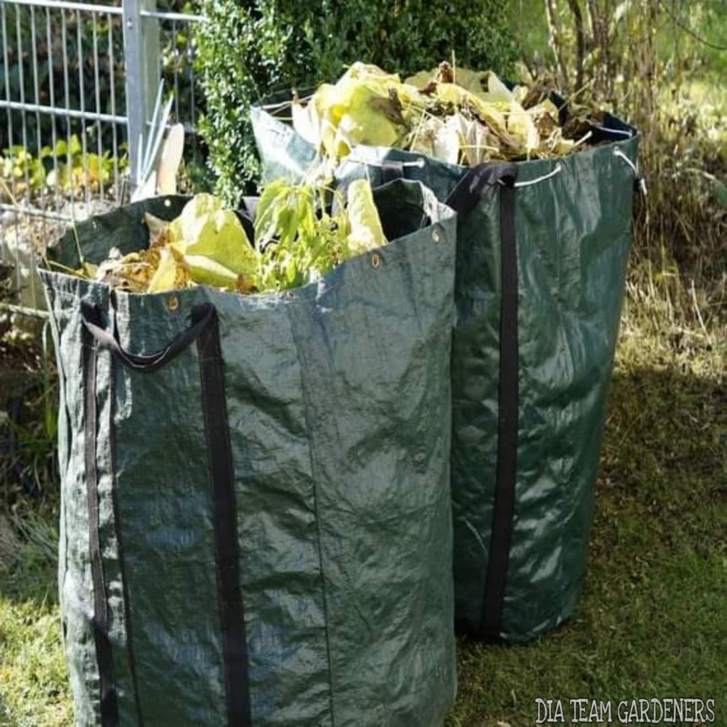 Garden Waste Removal