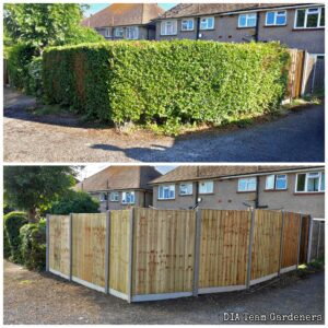Fencing & Decking