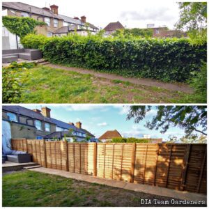 Fencing & Decking