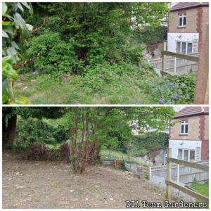 Garden Clearance