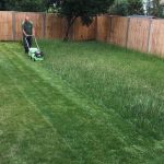 How Your Garden Glows: A Magical Transformation After Dark
