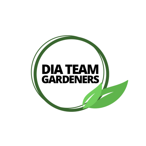 diateam